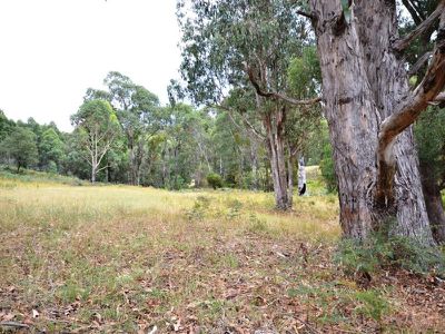 6358 Kiewa Valley Highway , Coral Bank
