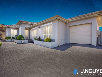 13 Sandplover Place, Hinchinbrook