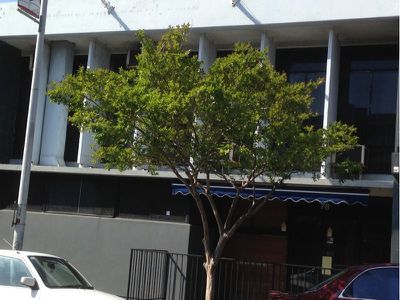 Level 1 / 78 Wentworth Street, Port Kembla