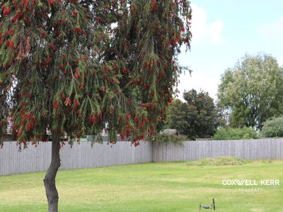 105 Burdoo Drive, Grovedale