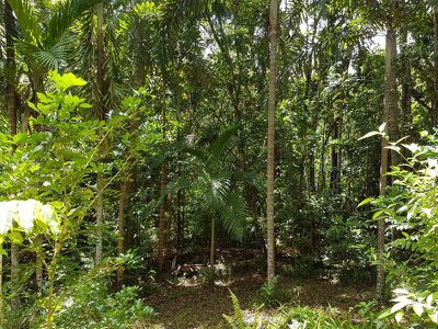 1 Collingwood Road, Rossville