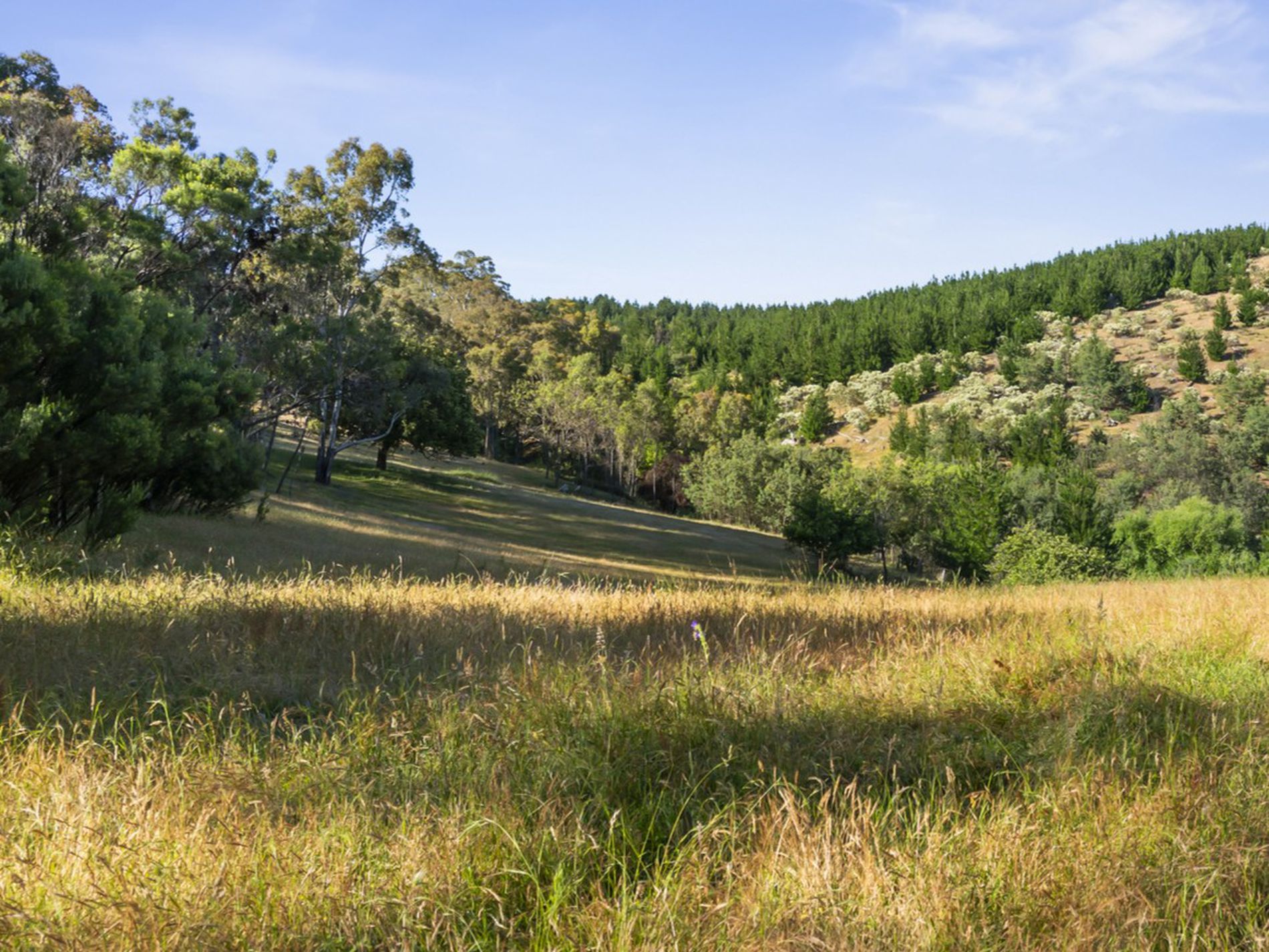 486 Mitchell Road, Tatong