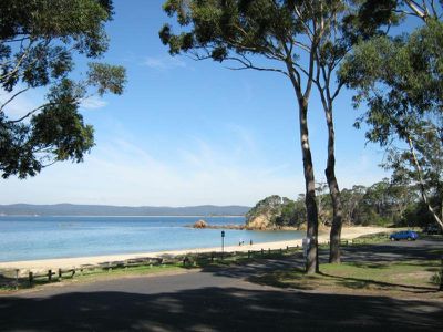 67 Ida Rodd Drive, Eden