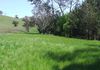 * Canowindra, Orange