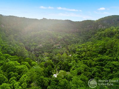 807 Left Bank Road, Mullumbimby Creek
