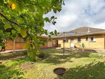 5 Parkmore Avenue, Sturt