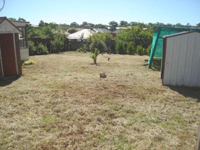 14 Faux Street, Wiley Park