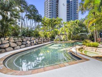 14 / 955 Gold Coast Highway, Palm Beach