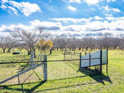 'Rose Cottage' 75 Lawrie Road, Beechworth