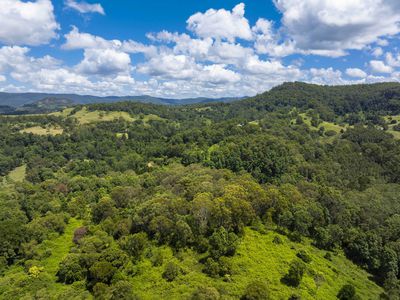 148 Mountain Top Road, Georgica