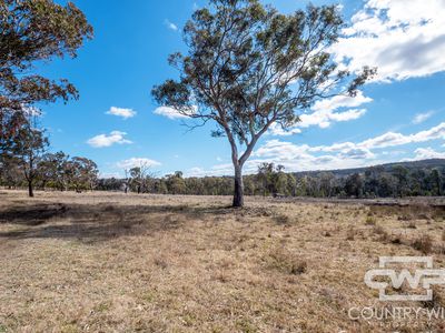 Lot 29, 41 Gilligans Lane, Torrington