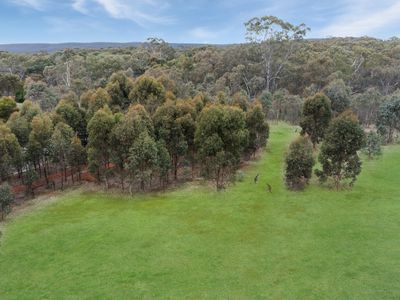 50 Warren Road, Heathcote