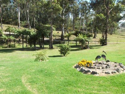 313 Back Creek Road, Nethercote