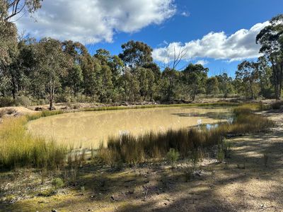 454 Cainbil Road, Coolah