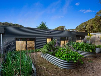 19 Reeves Street, Blairgowrie