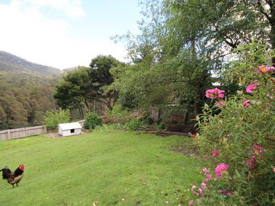 79 Middle  Road, Pelverata