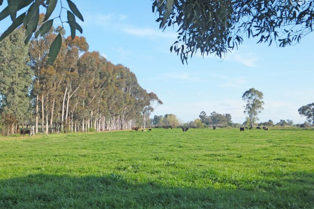 36 Thompsons Lane, Kyabram