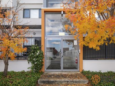 66 / 234 Flemington Road, Harrison