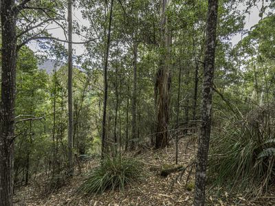 Lot 2, Fyfes Road, Mountain River