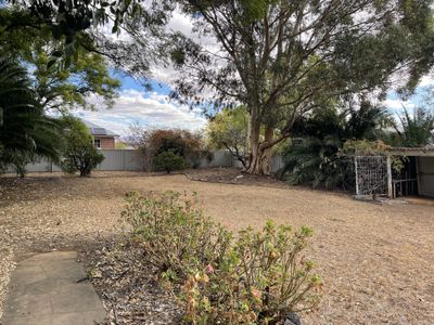 55 Raglan Street, Tamworth
