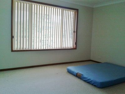 24 Bushland Avenue, Mollymook