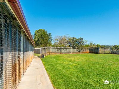 Pet Retreat Boarding Kennels Business For Sale with 114 acres Property