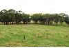 227 Emu Swamp Road, Lucknow
