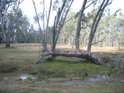 Lot 5 Etheridge Court, Heathcote