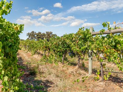 1081 Schoolhouse Lane, Heathcote