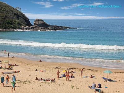 6 Bellbird Close, Mollymook