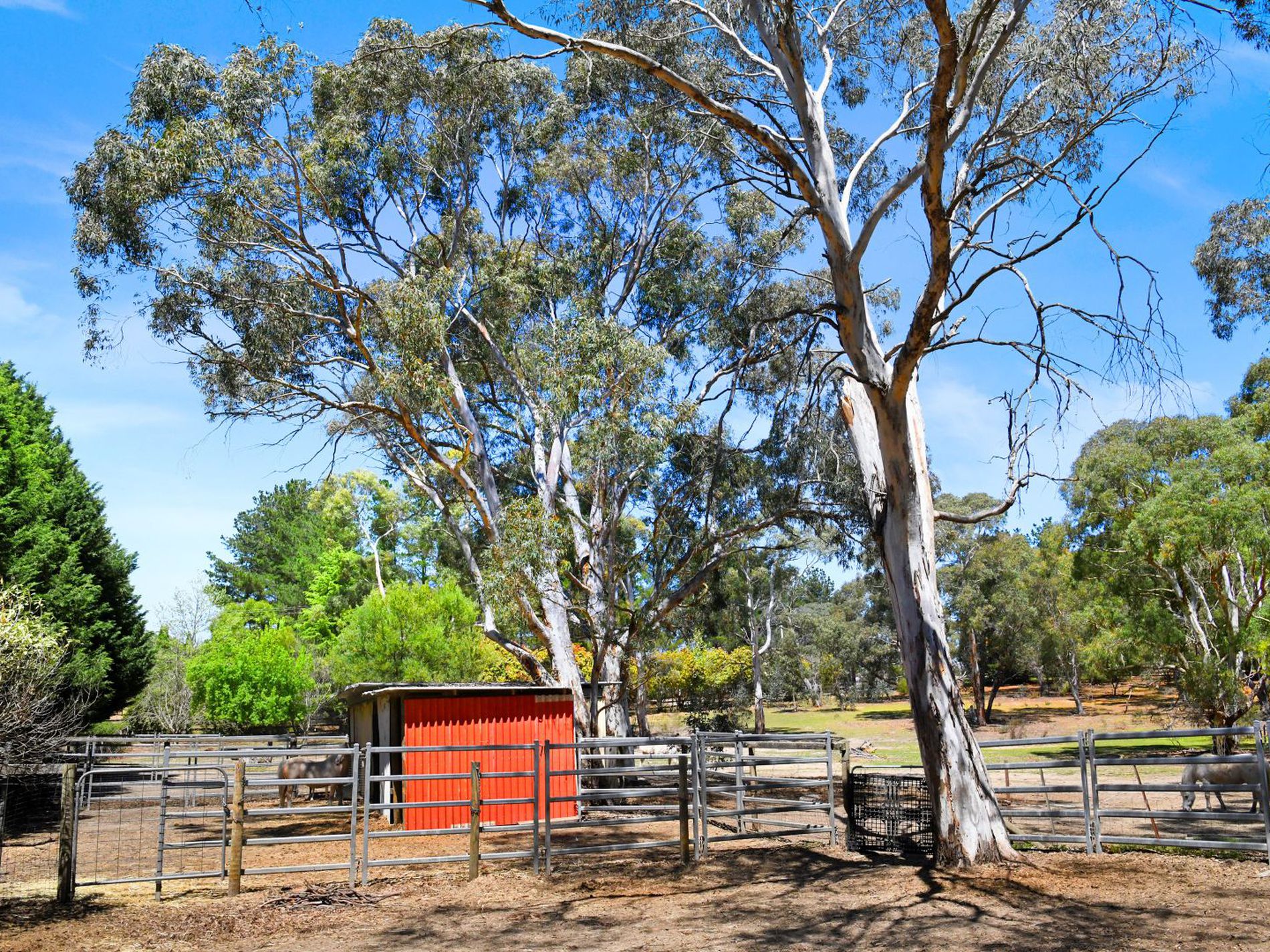 6 Carribee Close, Berrima
