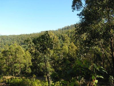 Lot 1 Judds Creek Road, Judbury