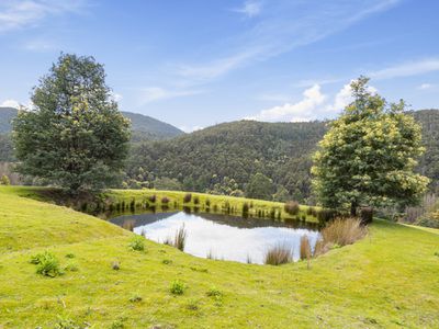 325 Bakers Creek Road, Lucaston