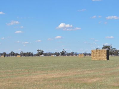 . Henty-walla Road, Culcairn