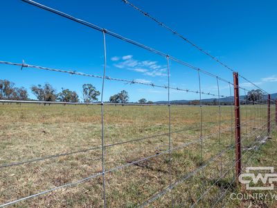 391 Carrot Farm Road, Deepwater