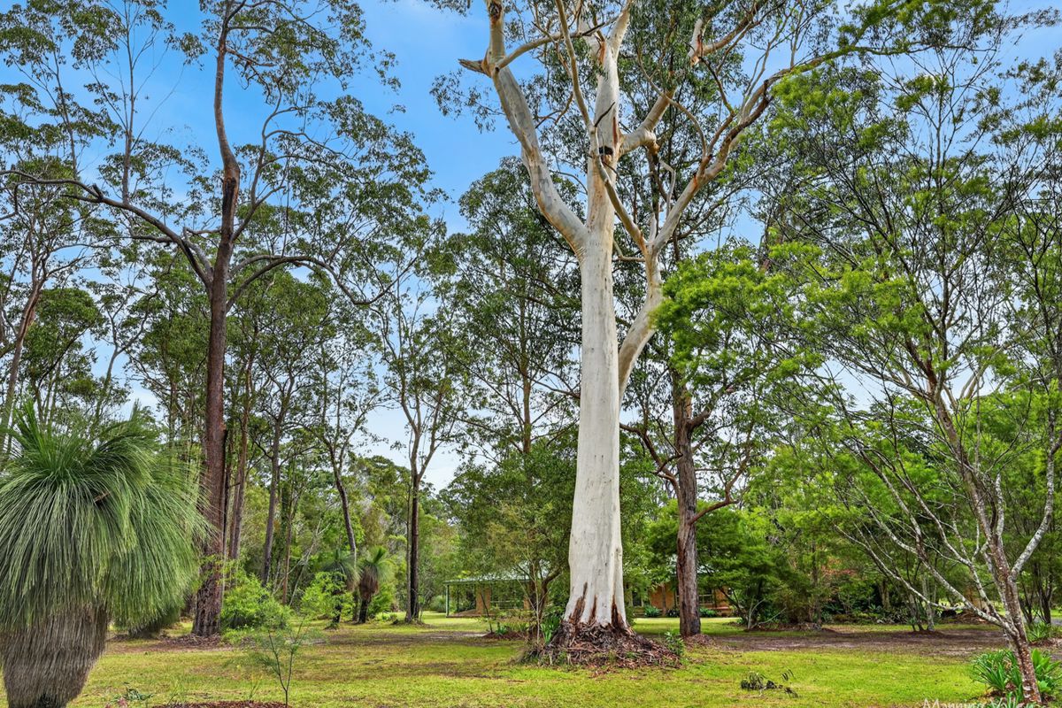 67 Iluka Circuit, Taree