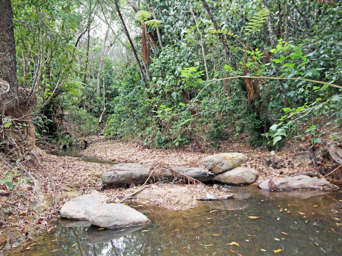 Atherton