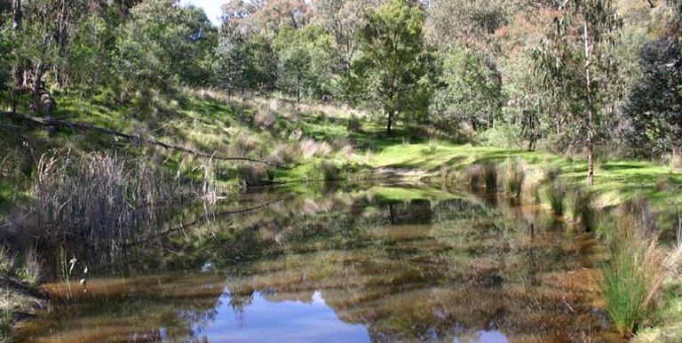 Harrys Creek Road, Strathbogie