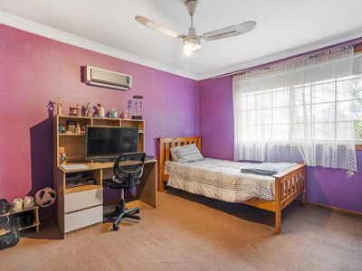 2 / 27 Appaloosa Circuit, Blairmount