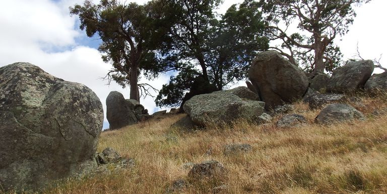 1209 Euroa Strathbogie Road Kelvin View, Euroa