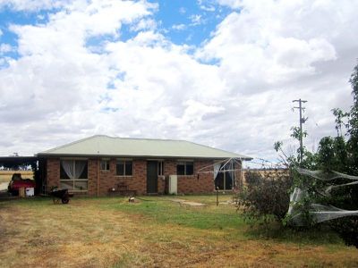 . Kooringal Road, Balldale
