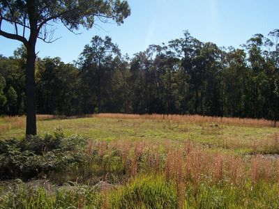 Ourimbah