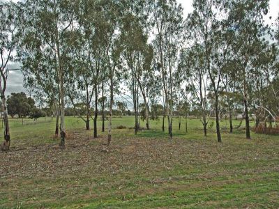 48 King Street, Brookton