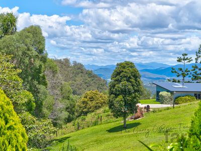 79 Larcombe Drive, Wongawallan