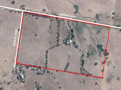 61 Adams Lane, Staghorn Flat