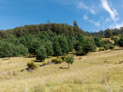 Lot 1, Dulcia Road, Gordon