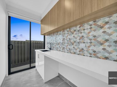 11 Paradoxa Drive, Tarneit
