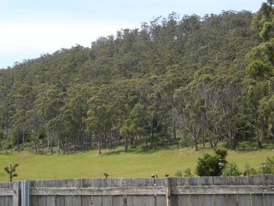6686 Channel Highway, Deep Bay