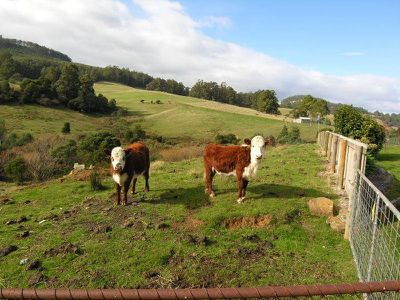 151 Donnellys Road, Geeveston