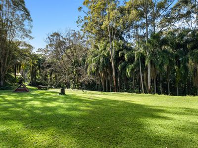 476 WALLACE ROAD, Terania Creek
